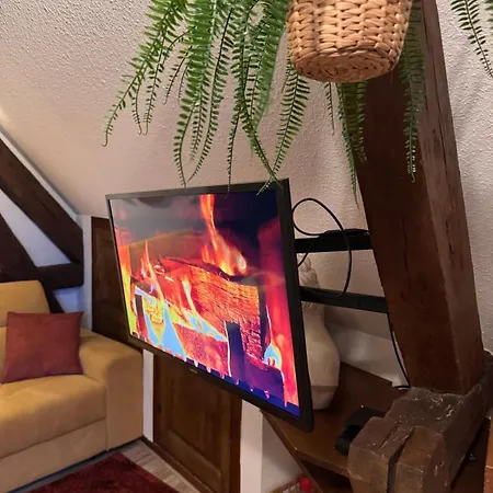 L'atelier - Logis D'artiste - Centre Historique Lejlighed Troyes