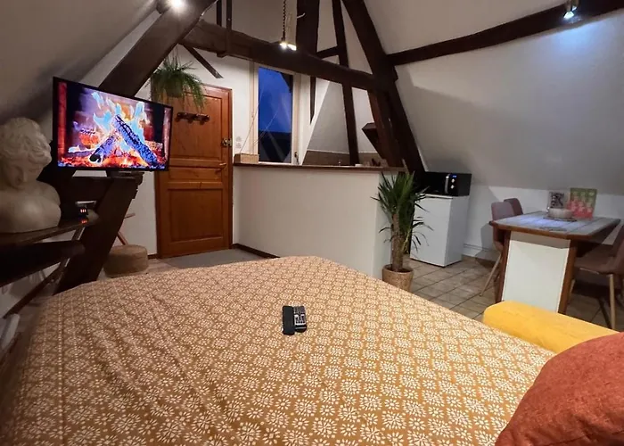 L'atelier - Logis D'artiste - Centre Historique *